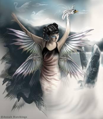 Ange